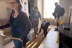 Big Times Kennel Pet Gallery 2 - Elevator Training Dayton Dog
