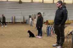 Big Times Kennel Pet Gallery 2 - Obedience Training Big Times Kennel