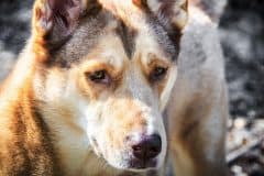 home_vet_gallery9