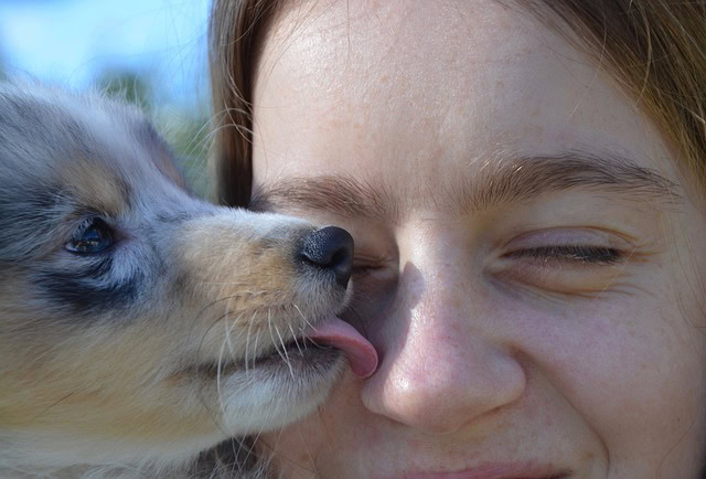 Why You Love Your Dog