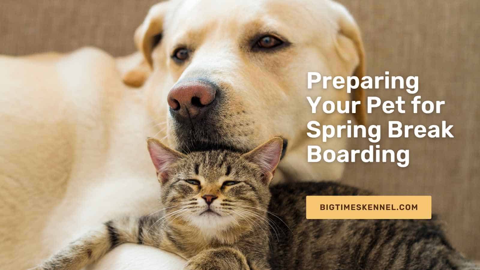 Preparing Your Pet for Spring Break Boarding