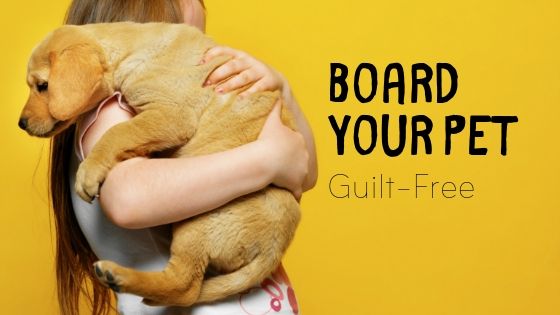 Boarding Your Pet Will Have You Feeling Guilt-Free During Summer Vacation
