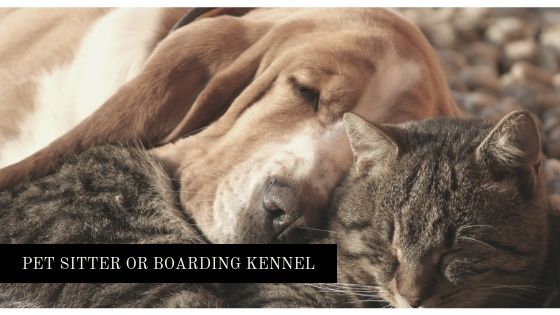 pet sitter or boarding kennel