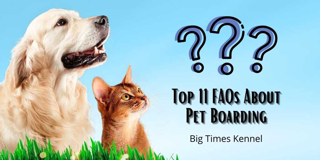 FAQs About Pet Boarding Top 11