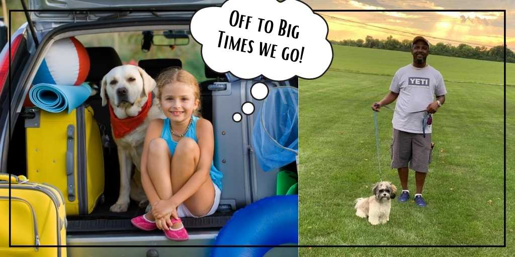 Choose Big Times Kennel for Training and Boarding