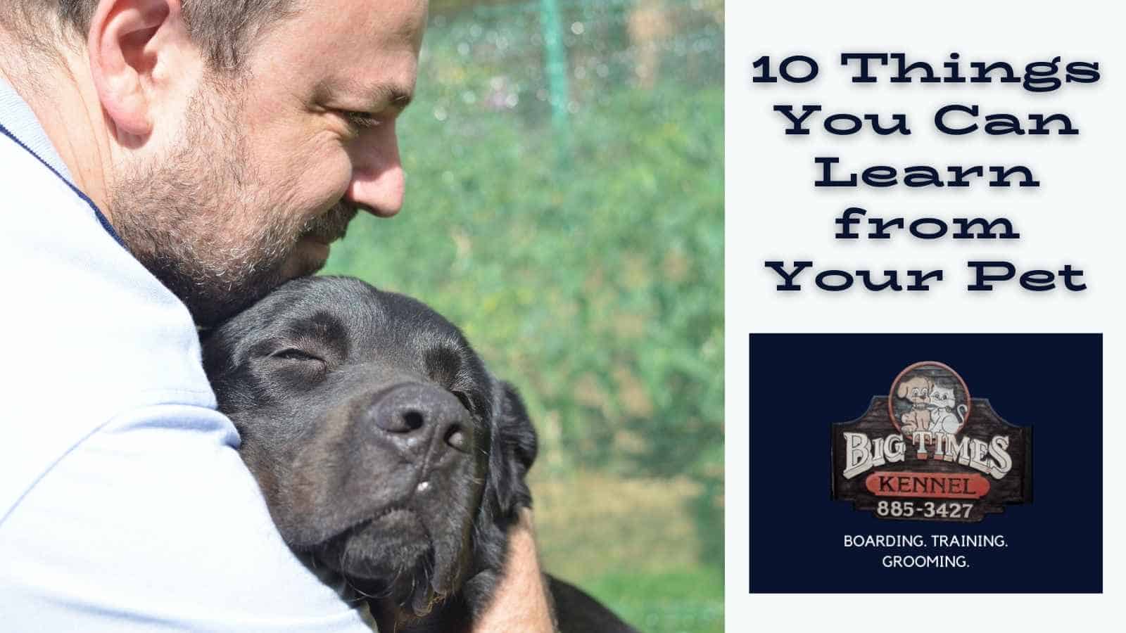 10 Things You Can Learn from Your Pet