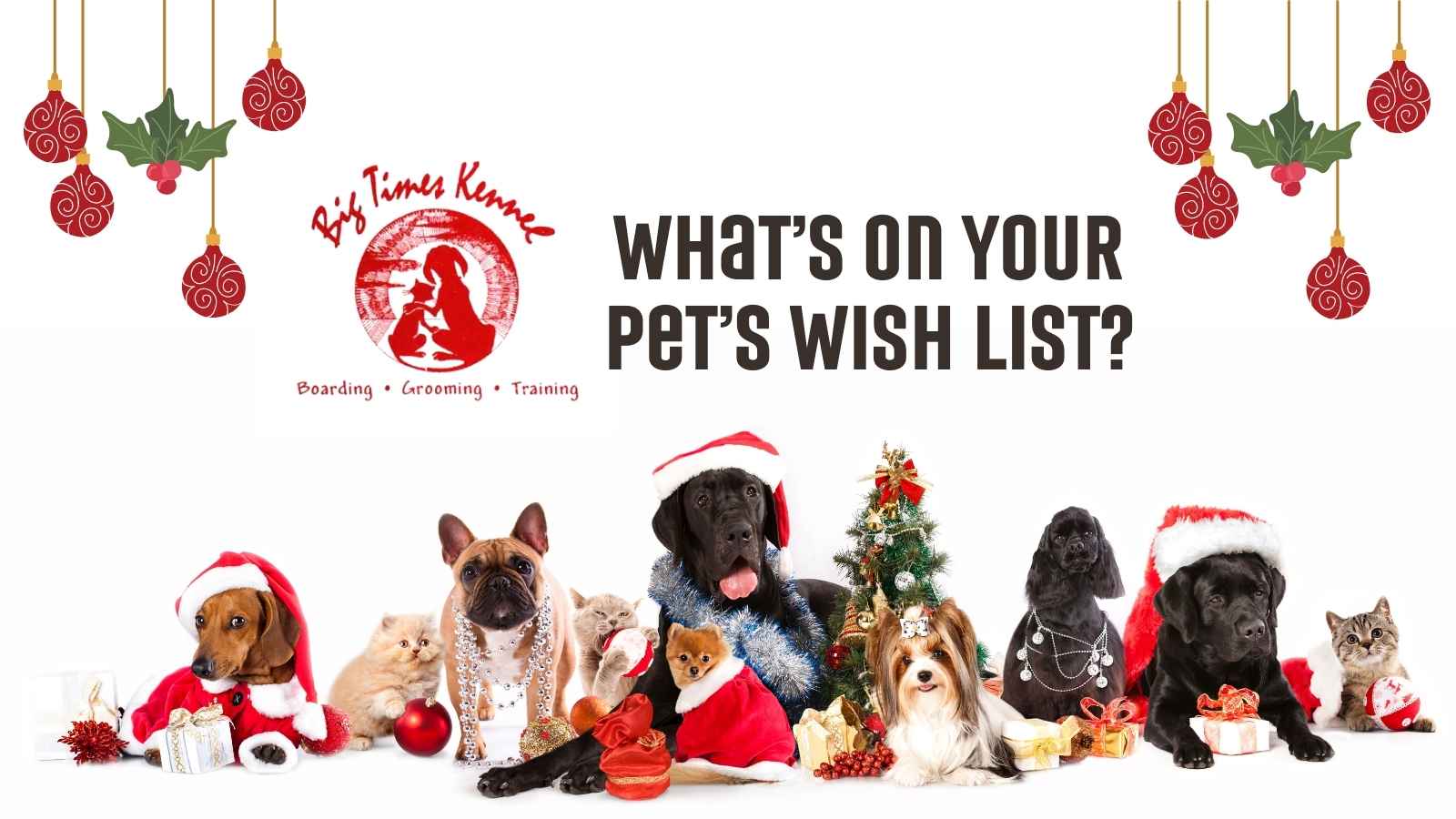 What's on Your Pets Wish List