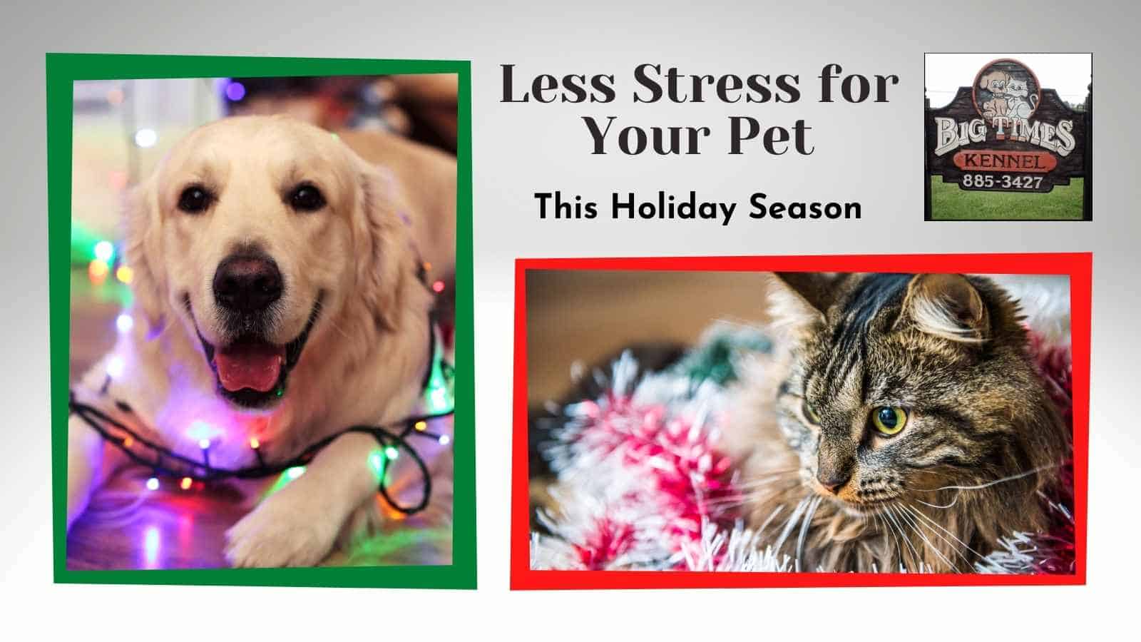 Less Stress for Your Pet - BTK