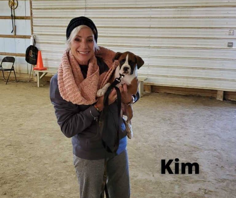 Dog Training Dayton OH 9378853427 Agility, Manners Including Puppies