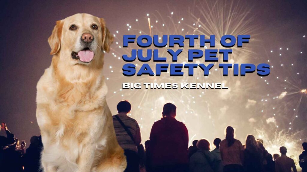 fourth of July pet safety tips