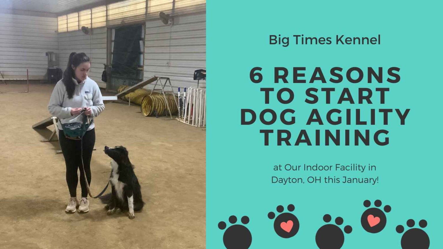 6 Reasons to Start Dog Agility Training at Our Indoor Facility in