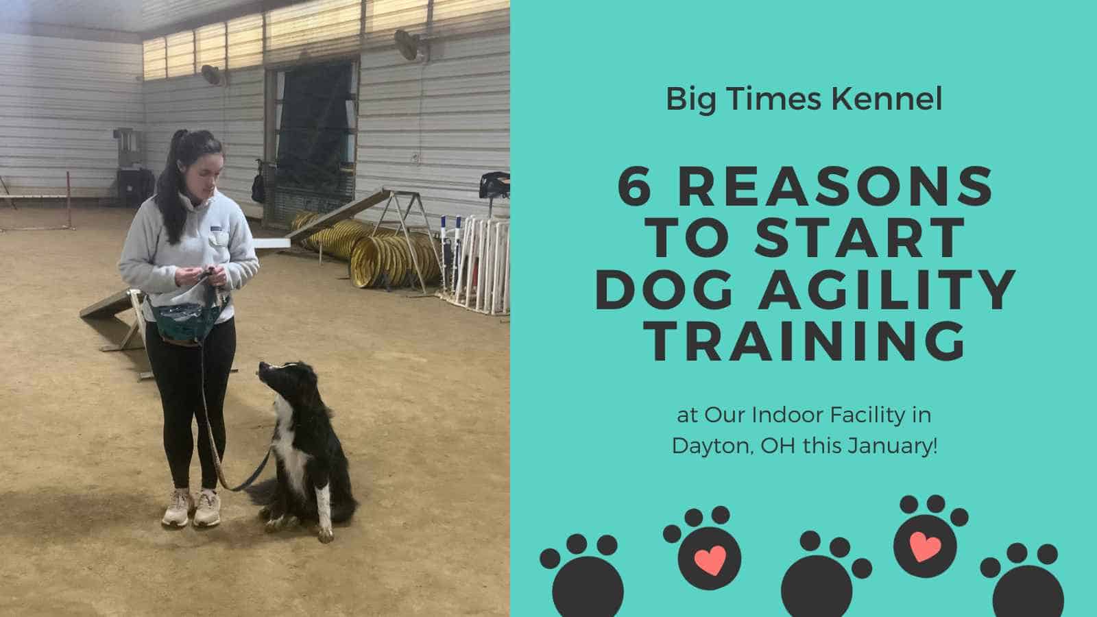 6 Reasons to Start Dog Agility Training at Our Indoor Facility in Dayton, OH this January