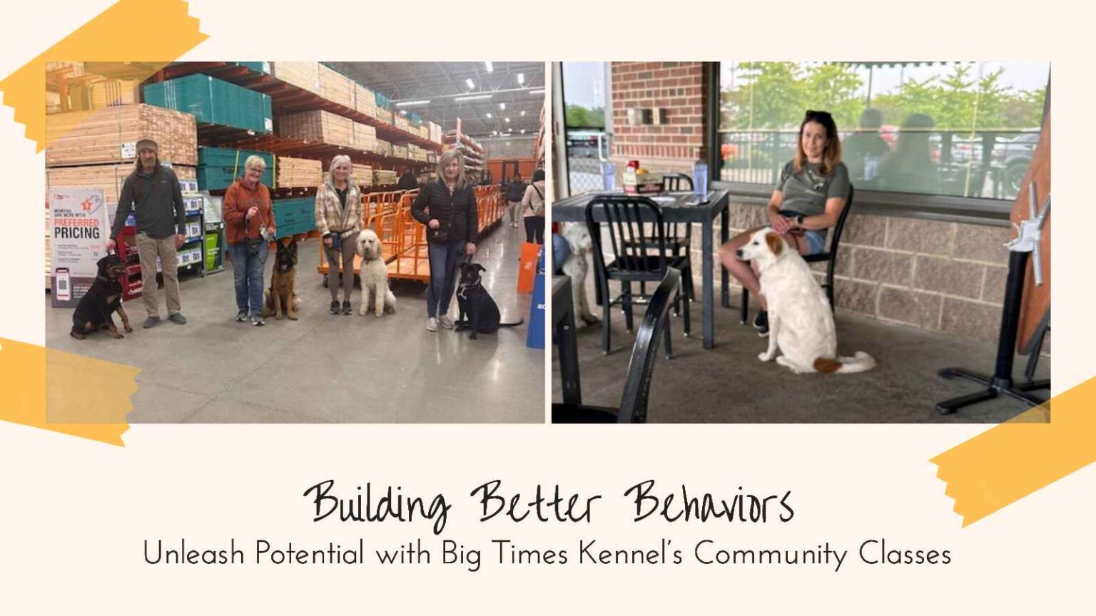 Building Better Behaviors Unleash Potential with Big Times Kennel’s