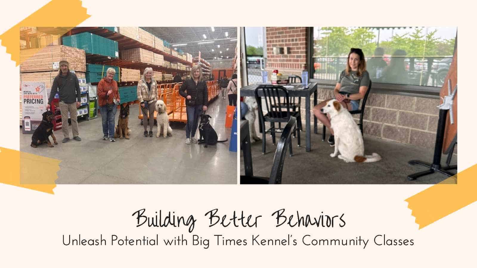 Building Better Behaviors: Unleash Potential with Big Times Kennel’s Community Classes