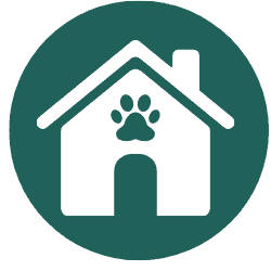 dog boarding icon