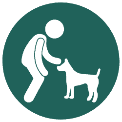 Dog obedience training icon